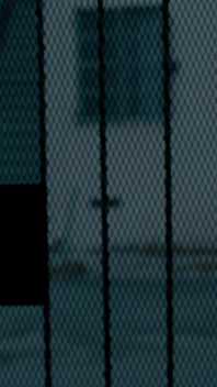 Rajstopy Tajny agent Caper