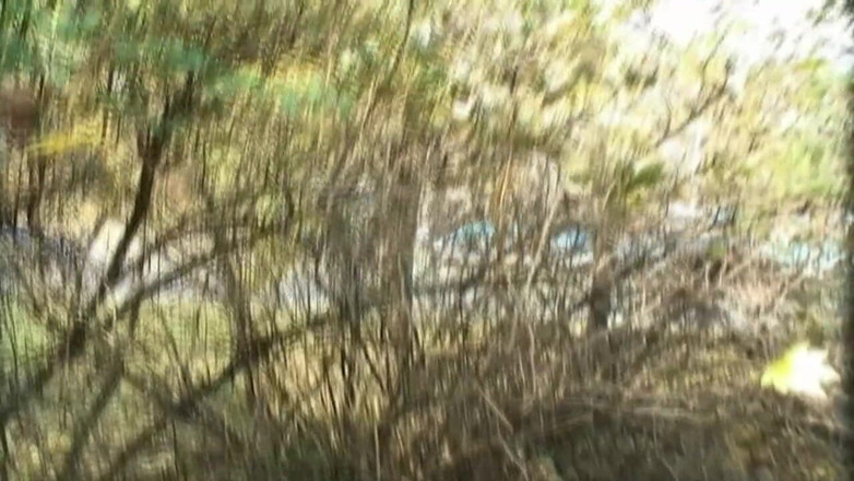 XXXEROTICONLY: Teenenger Fucked in the Park and Squirted in Mouth