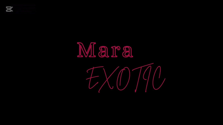 Mara Exotic: Возбужденная чернокожая черная пара страстно трахается - Mara Exotic