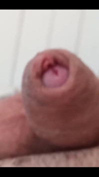 My Hot Uncut Dirty Dry Cummed Cock. Need You to Lick It Clean.