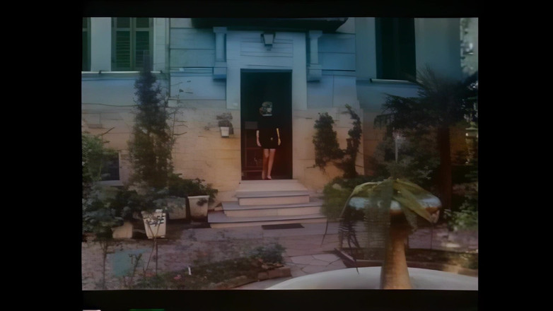 Vintage Megastore Full hd: Друзья в группе