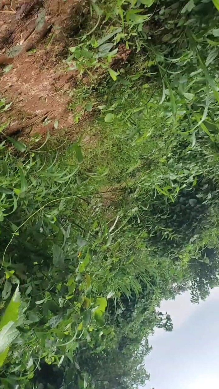 Ayo ass: Outdoor Sucking and Wanking