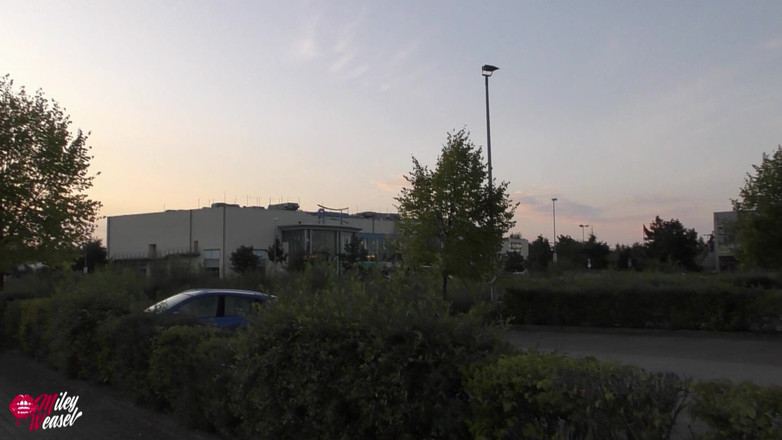 Miley Weasel: Kamusal bir sikiş... Azgın sarışın sevişti!!