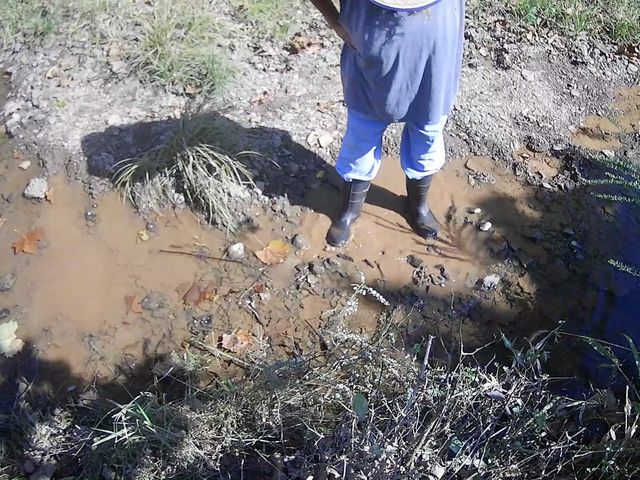 Mountainmama Playing in Creek (Mountain Mama 1)