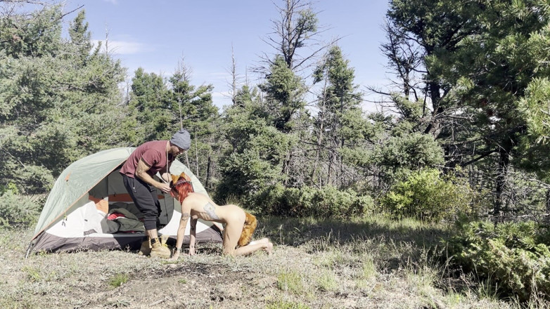 MYA Pleasure: Una volpe nei boschi