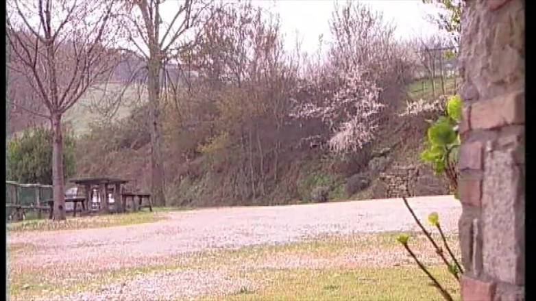 Inhonorof porn: 肛交台球，而朋友观看和自慰