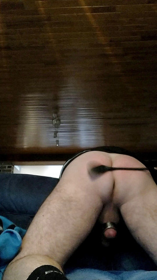 I'm a bitch: Potřebujete dobrou výprask této děvky