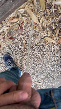Peeing in the Garden
