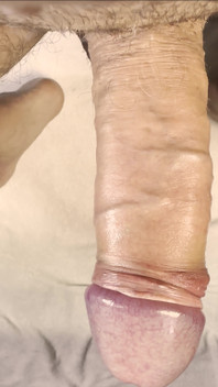I Like to Touch My Cock
