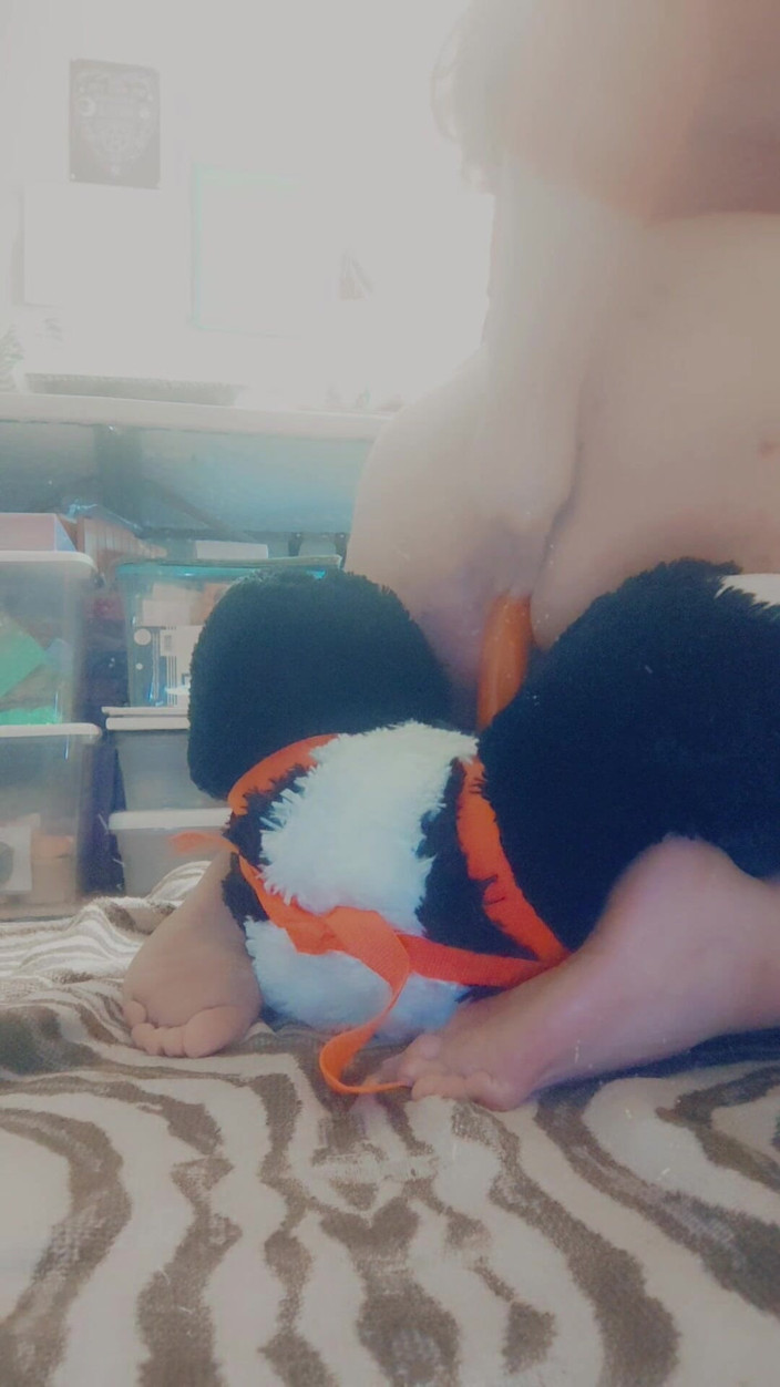 Domina Succubus: Mi scopo la mia stuffie panda (strap on)