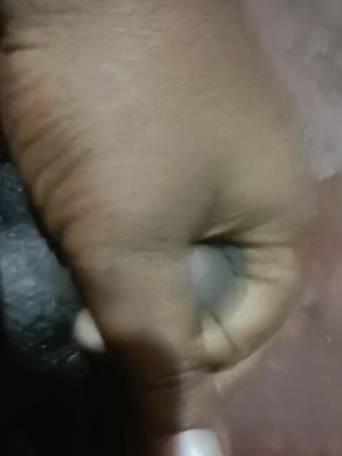 LegalVector8: Melancap