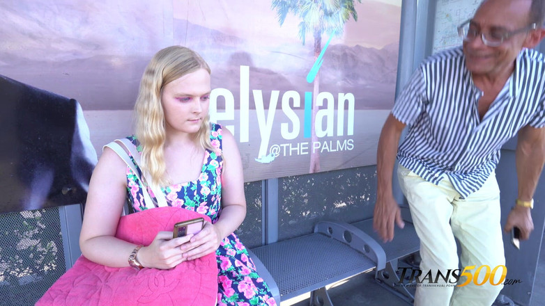 Trans 500: Sofia Bun Meets the Monster