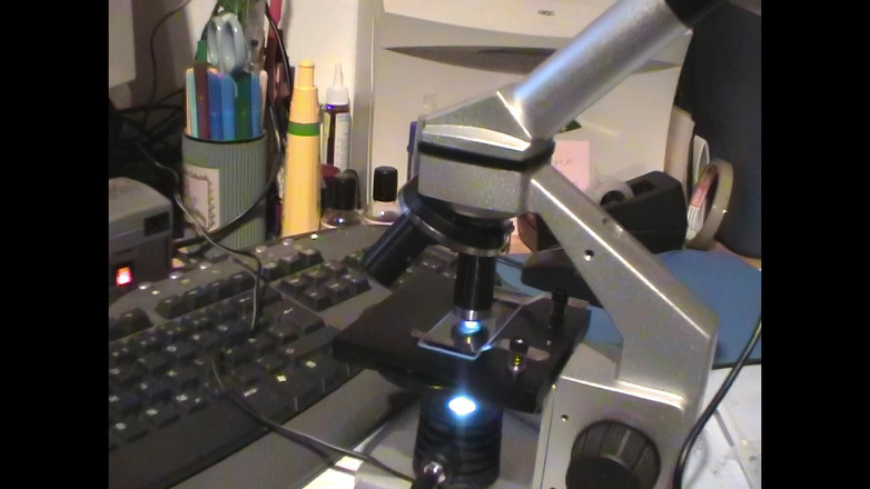 Mark Hannes: Clear doll scopata masturbazione