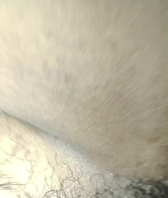 Seenu: Indian Woman Sex Video Hard Fucking