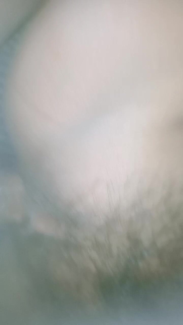 PARAMANANDA: My Wife Night