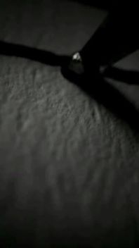 Trailer 376