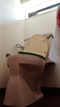 Daily Toilet September 2025