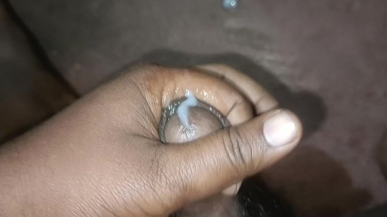 LegalVector8: Indiana calda