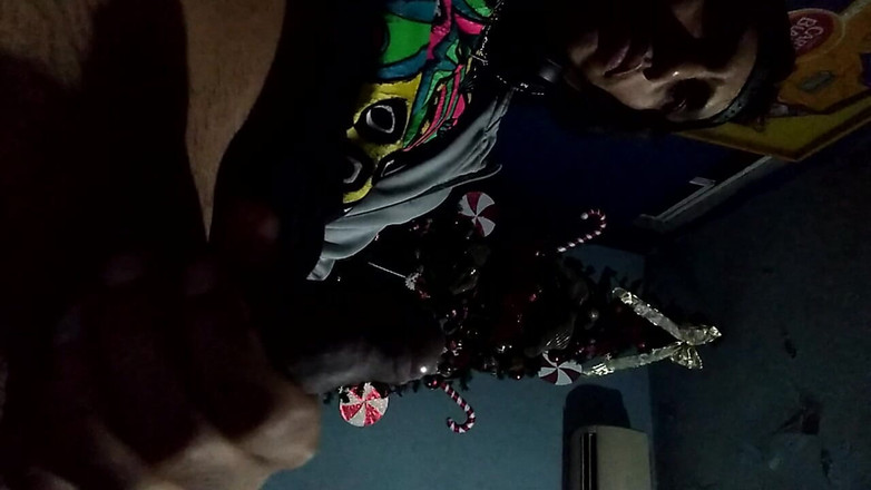 AlexAlejandro13: Бажаю вам веселого Різдва