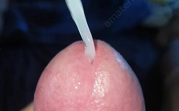 Honeni Ptaka (Big pen for you) Honeni Ptaka (Big pen for you)