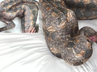 Nylon Xtreme: Nora Fox Snake encasement Zentai op zijn hondjes