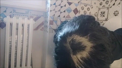 savannahamatoriale: Zgomot fierbinte de la wc