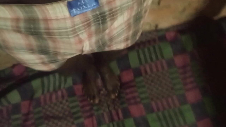 Judith xxx: My Lovely Night