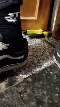 Vans Schoenen Mijn Voeten Sokken & Plezier