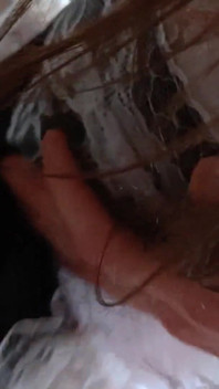 Chambermaid 3