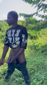 Afrikanischer 12 Zoll Langer BBC-schwanz