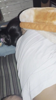 Homemade Wife Night Time Hard Fuckick Back Side Also Fuck