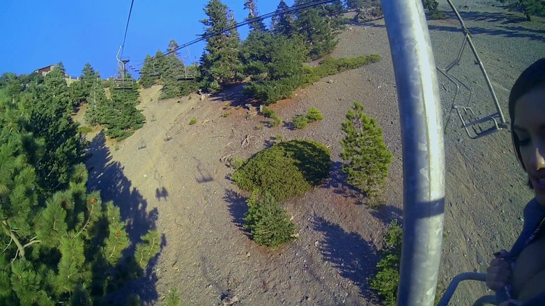 Les Lesbians: Lesbian Utopia: lesbian 6