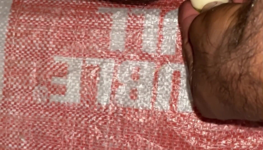 Sexy Boy Show Dick (Sachitamute)