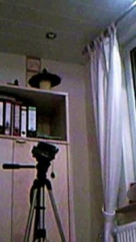 Fleshlight Pussy Fuck Standing and Watching Porn Masturbation