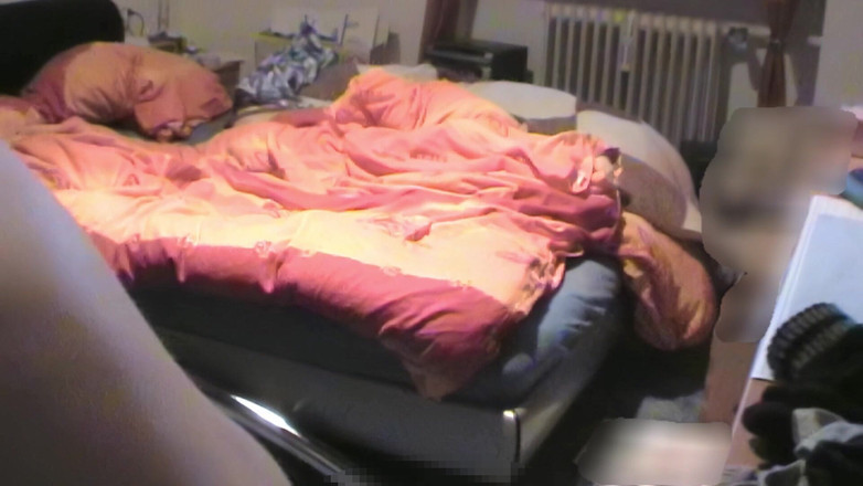 Mark Hannes: 바이브레이터 혹 자위