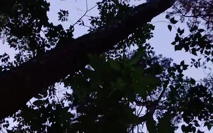 Lesbian-illusion: She Pinned Me Against a Tree in the Park and...