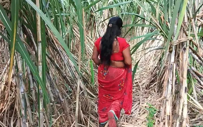 Desistepsis: My Step Mom in Sugarcane Farming
