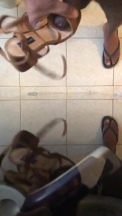 Sexy sereppu: Yeni sandalet deniyor