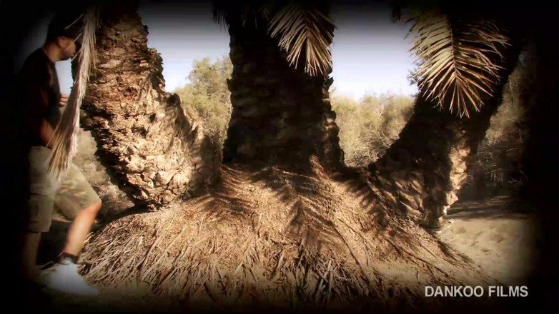 Dankoo Films: Sexo nas dunas de Gran Canaria.