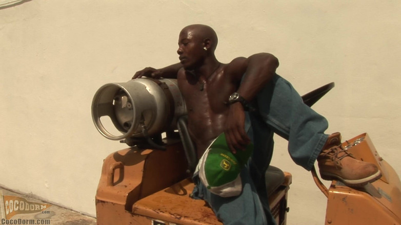 CocoDorm: Alex Flex 2