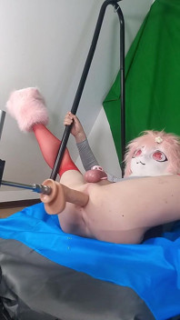 Dildo Dalam Keldai Berbulu Saya 2