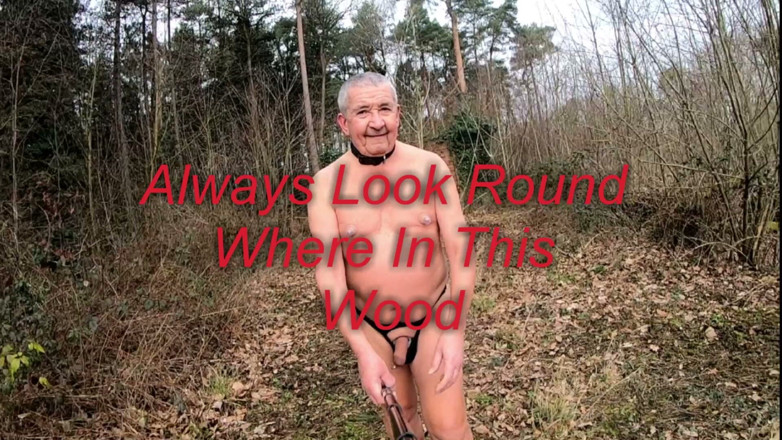 Andy: Sex Walk Round Wood
