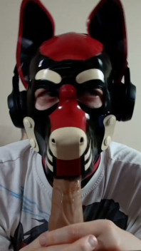 Latex Pet Sucks His Rubber Bone. Watch the Full on My Fancentro