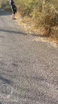 Chico Siguió a Su Amigo Heterosexual Que Fue a Orinar