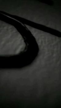 Trailer 376