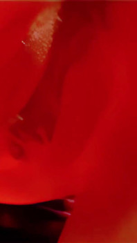 Sexy Video