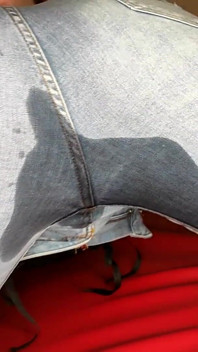 Röv jeans retas, kissa i jeans