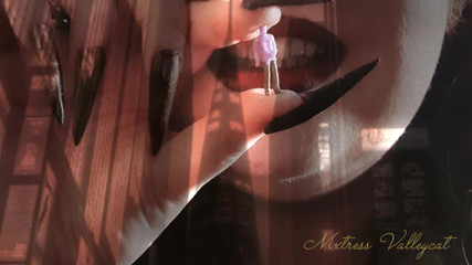 Mxtress Valleycat: Die holografische Riesin