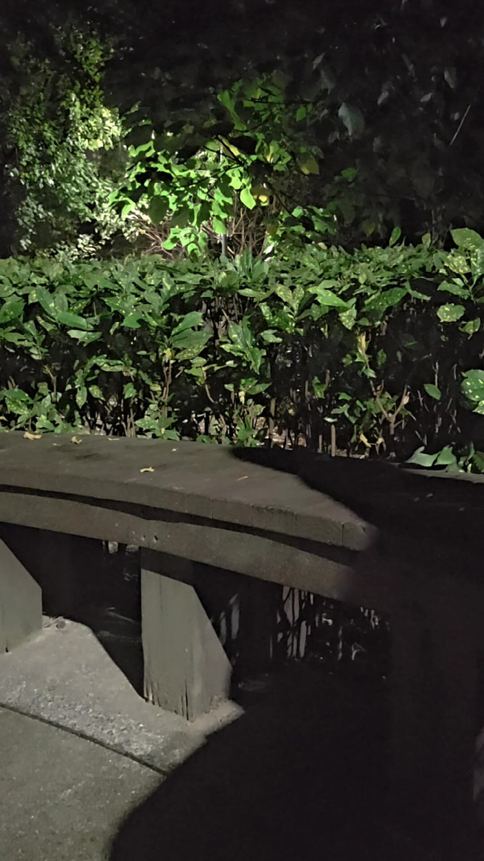 Taiwancdgirl: Pseudo-dziewczyna Tingxuan masturbacja analna na wolności