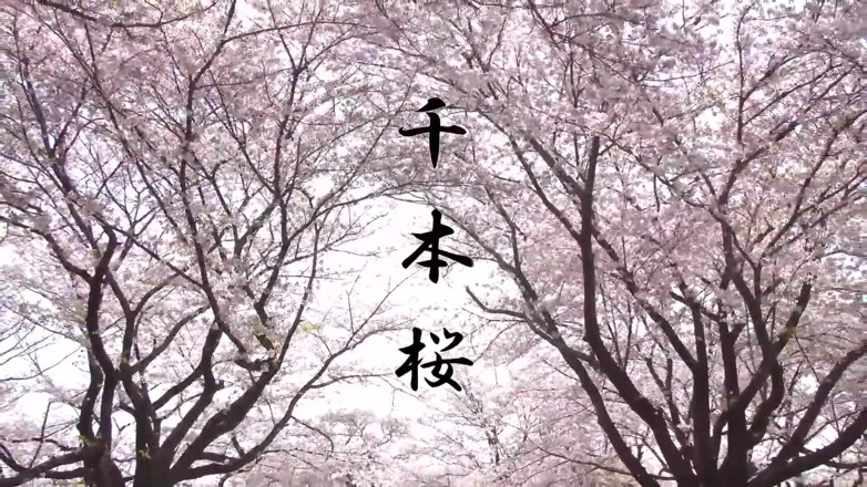 Studio Modern Shunga - JAV: Asijský anděl 20696